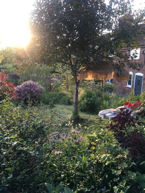 The garden at Tosturi House retreat